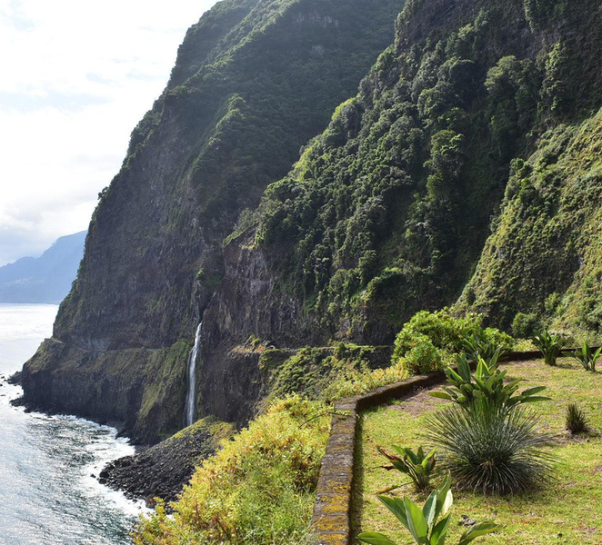 Madeira: Skywalk, Porto Moniz, Seixal, and Fanal 4WD Tour F4Qc7yQT