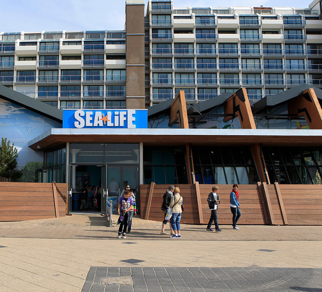 Scheveningen, The Hague: Sea Life Entry Ticket DB6GJF17