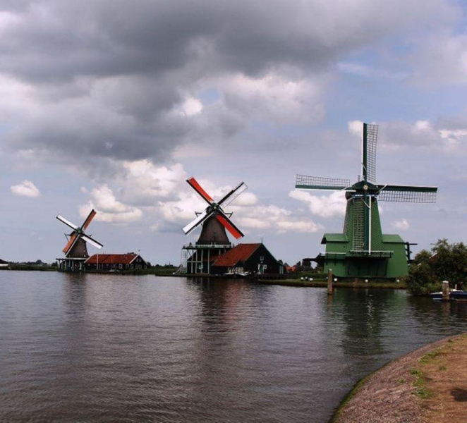 Amsterdam: Private tour Tulips, Keukenhof, Windmill & Cheese 1NAdmf4p