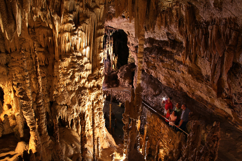 Go City San Antonio Essentials Pass: 3 Attractions KpwGrepb