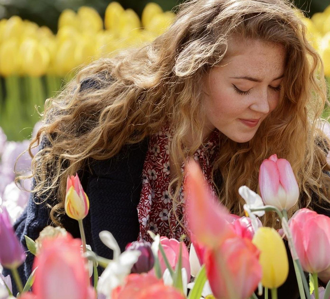 The Hague: Tour to Keukenhof Gardens plus Entry Ticket 476sgOta