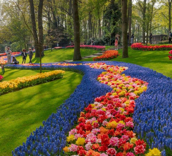 Amsterdam: Keukenhof Gardens & Tulip Fields Private Tour 54Usqc6c