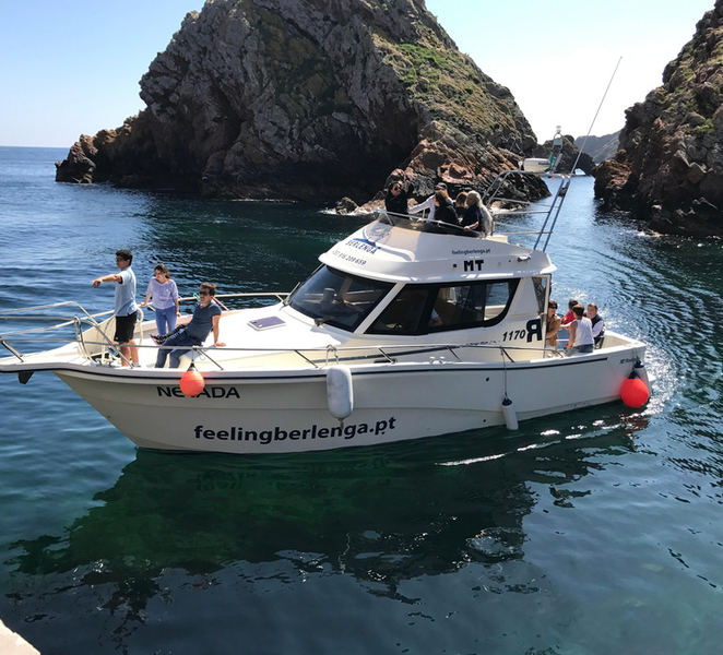 Peniche: Berlengas Island Trip, Hiking and Cave Tour Cd8L41AY