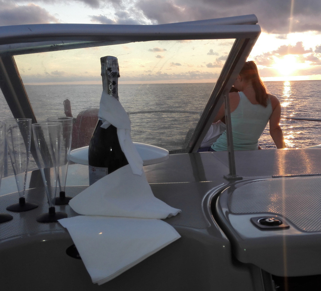 Madeira: Whale and Dolphin Watching Private Cruise Ti7OUETE