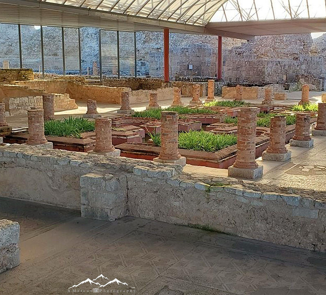 Coimbra: Conimbriga Ruins and Roman Heritage Tour CNtWSlnm