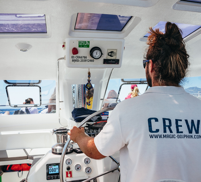 Funchal: Dolphin and Whale Watching by Luxury Catamaran MkozhMKR