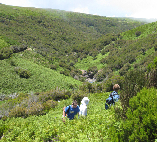 Levada do Alecrim (Madeira Lakes) Full-day walk gMw0k8EO