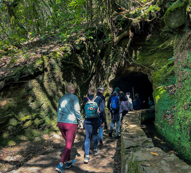 Madeira Island: Caldeirão Verde Levada Walk vxdVolFr