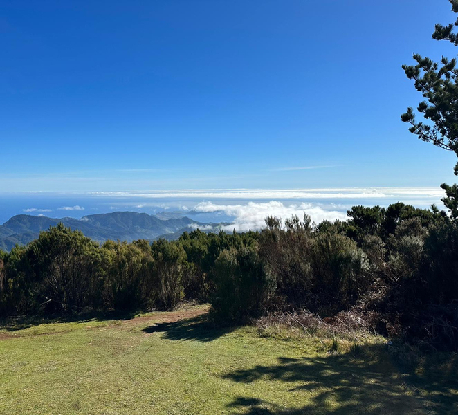 BIKE TOUR - BOTANICAL LEVELS OF MADEIRA, TRAIL EXPERIENCE 4tB6djTH