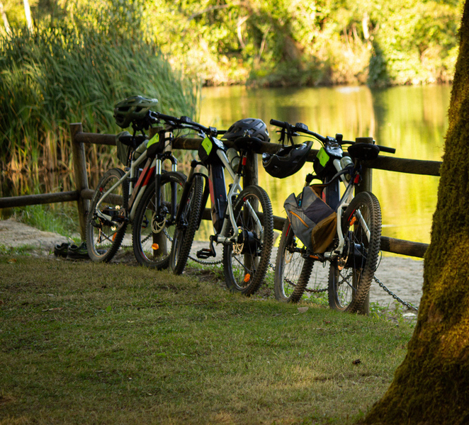 Oliveira de Frades: Ride an electric bike along the Vouga Ecopista jDq9uYNd