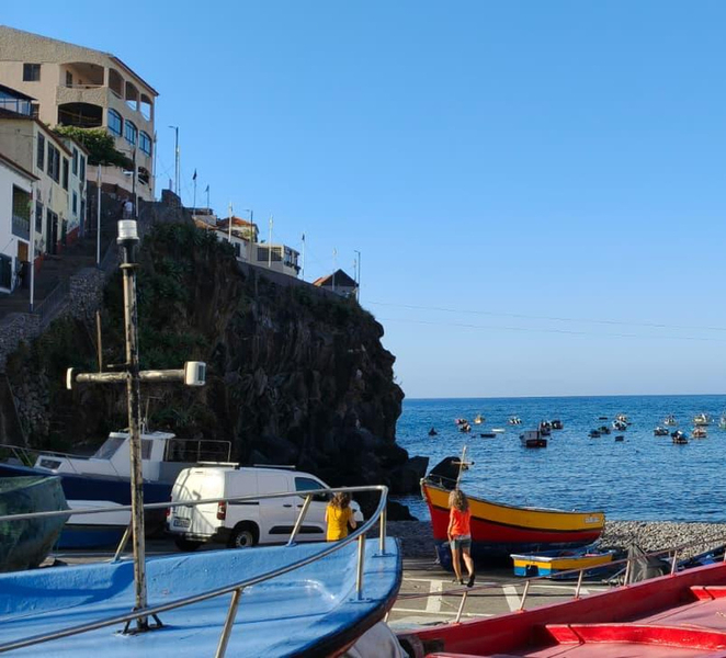 Madeira: Vineyard Tour w/ Wine Tasting & Skywalk nMQIED9l