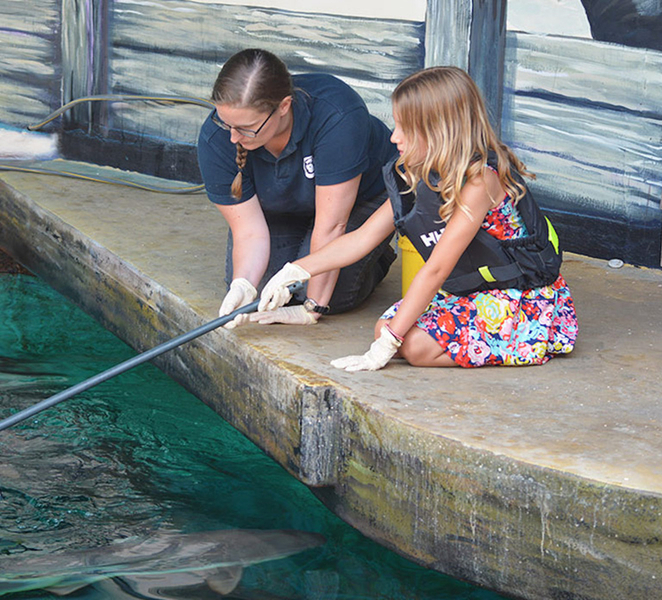 Bournemouth Oceanarium Ticket 19tQLbRl