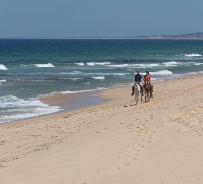 Melides: Horseback Riding on Melides Beach ydumVtz1