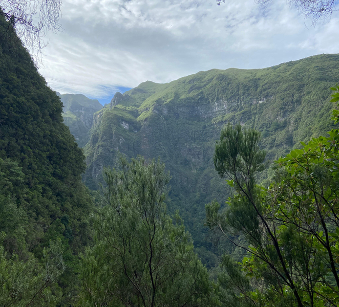 Madeira: PR 9 - Levada do Caldeirão Verde Hike Transfer 1FREXLRZ