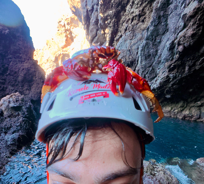 Madeira: Coasteering Adventure with Snorkeling, w/pick-up 3ysQZ7Z0