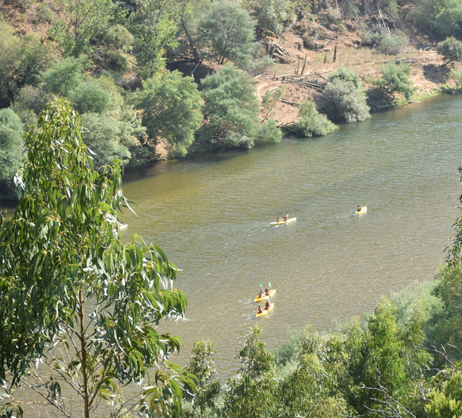 Coimbra: Mondego River Kayaking Tour Tl2pylg3