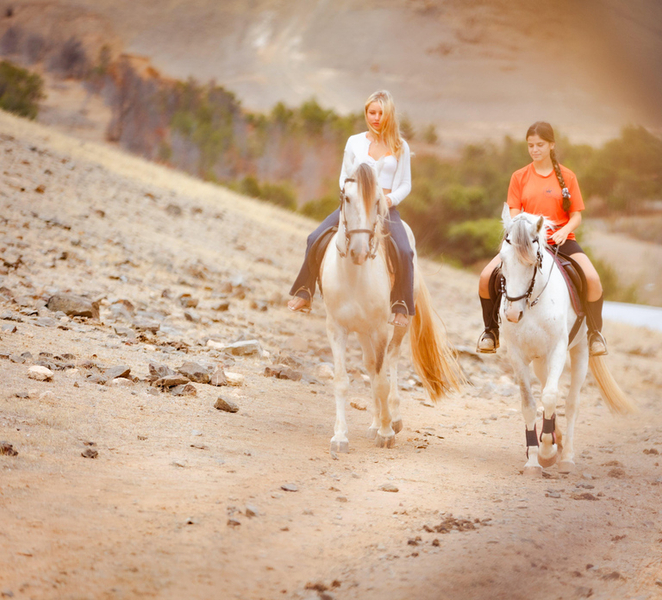 Porto Santo Island: Horse Riding cvDkMvYc