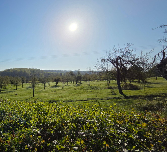 Herefordshire's Hidden Gems - Mordiford's wildlife & history CjgxB4VU