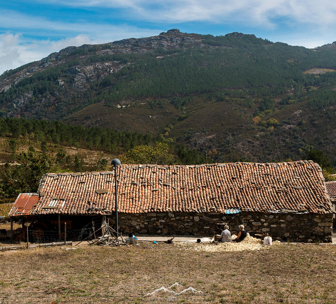 Coimbra: Lousã Mountain Schist Villages Tour UsKUBDgZ