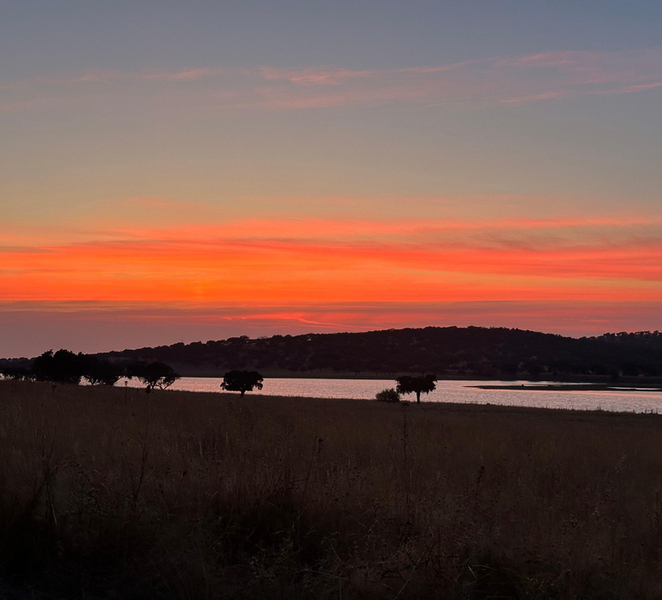 Alentejo: Sunset Village Walk with a local guide 8xElv95R