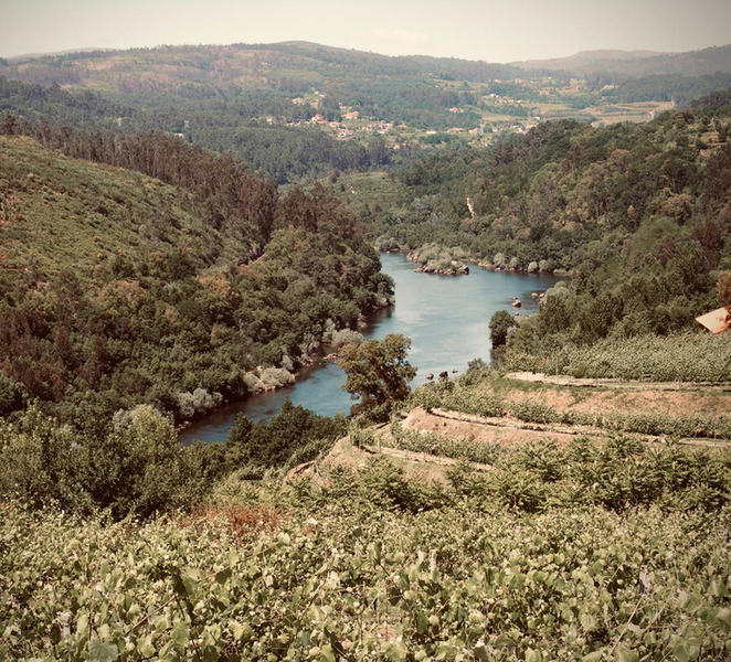 Melgaço: Discovery Wine Tasting QNST3G88