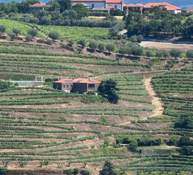 From Porto: Douro Valley Private Tour with Boat Cruise NdPtCC9i