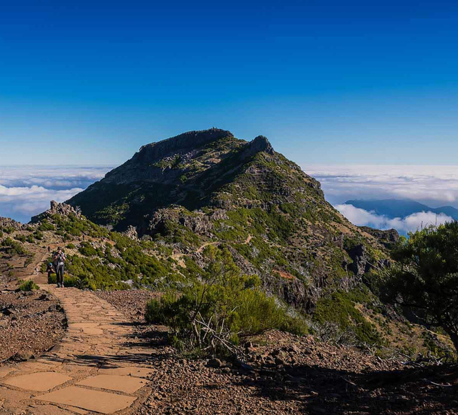 Funchal: PR1.2 Pico Ruivo & Achada Teixeira Hiking Transfer 9NqreGG8