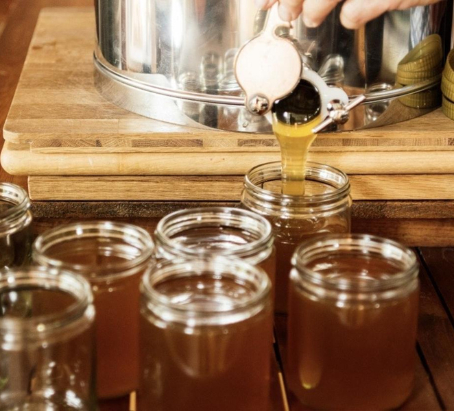 Beekeeper for a Day in Alentejo + Taste and Take Home Your Own Honey 6H69Io42