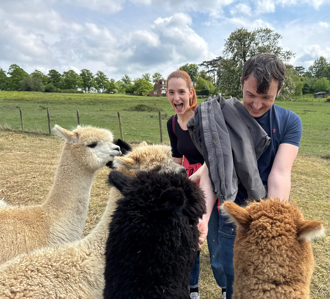 Up-Close Guided London Alpacas Experience with baby alpacas Ynlybl6O