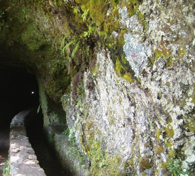 Caldeirão Verde: Levada Caldeirao Verde Hiking Transfer t4WbrNLK
