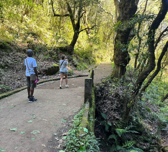 Madeira: Pico do Arieiro & Laurissilva Forest - East tour gRM5Ar8W