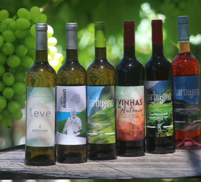 Madeira: Wine & Tapas, Cabo Girão Skywalk 4x4 Jeep Adventure aOMrxO0j