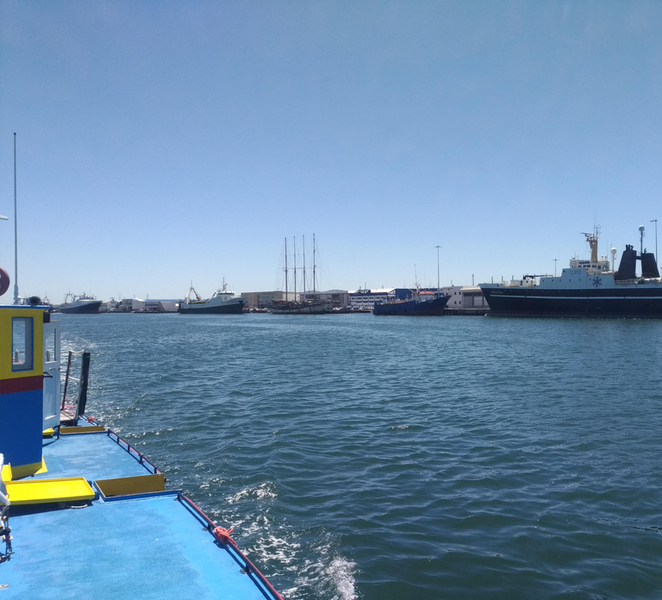 Aveiro: Ria Highlights Boat Tour uJYEkQqz