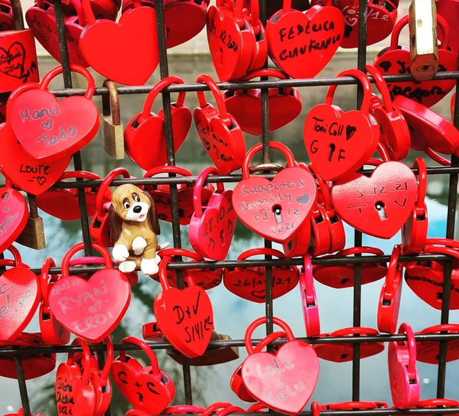 Colmar: Walking Tour Ni2KRzmR