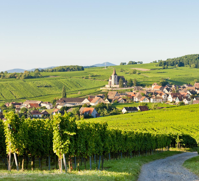 From Colmar: Haut-Koenigsbourg Castle and Villages Day Tour 855bwTqJ