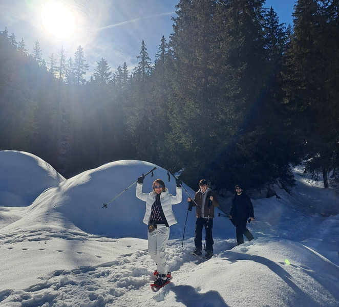 Courchevel: Snowshoeing or Nordic Walking efrtsHDA