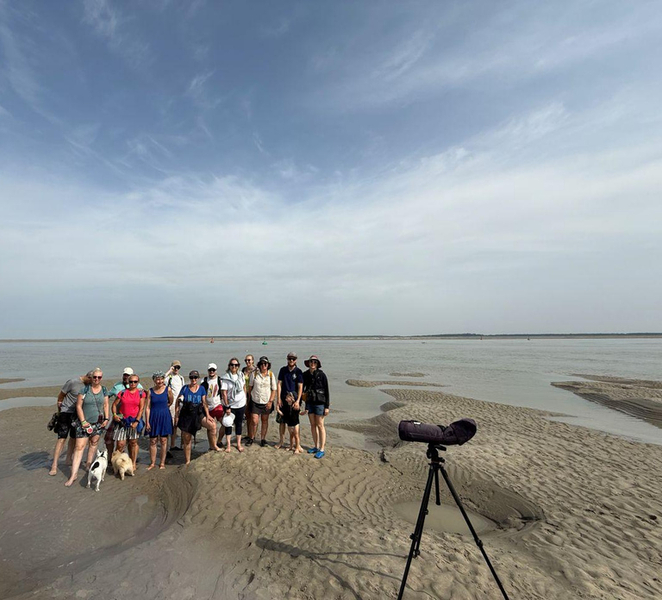Hike to meet the seals in the Bay of Somme brpedcox