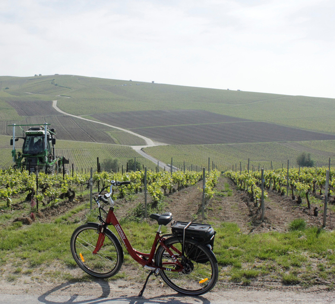 From Reims: Champagne Afternoon E-Bike Tour ICImhVKT