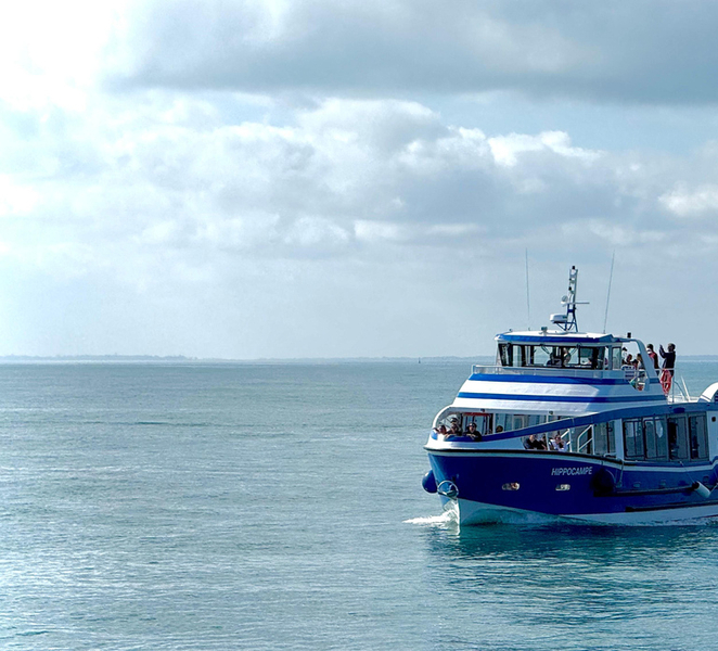 Fouras-les-Bains: Cruise around Fort Boyard and tour of the Ile d’Aix NlUMA0XO
