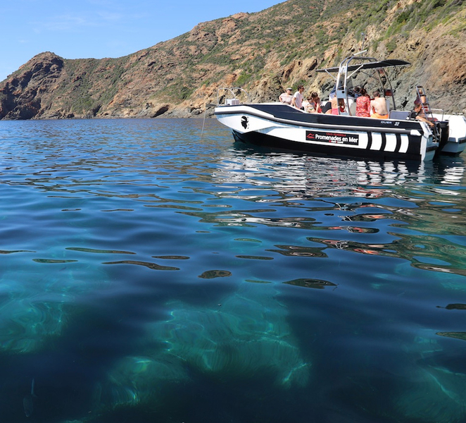 Calvi: Scandola and Piana Guided Boat Tour 1IIqIyJK
