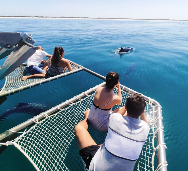 Setúbal: Dolphin Watching Tour xAJZkWo1