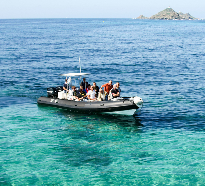 From Porto: Scandola and Calanche de Piana Boat Tour jCLKmqHx