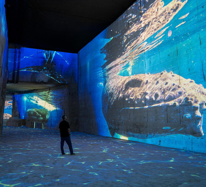 Les Baux-de-Provence: Carrières des Lumières Ocean ticket W46IPj5O