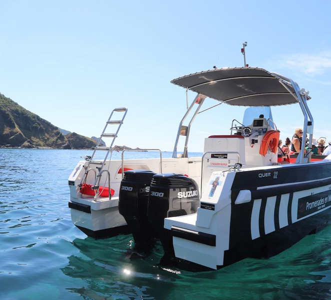 Calvi: Scandola and Girolata 6-Hour Boat Tour 0A5UQqPs