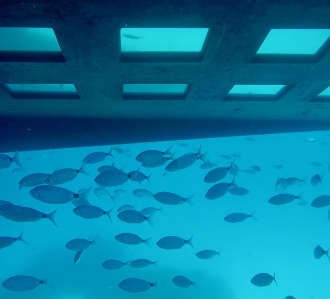 Propriano: Full Glass-Bottom Boat Tour (3h) – Swim & Drinks NgCDXREU