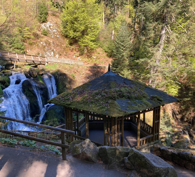 From Strasbourg: Black Forest Day Trip to Freiburg, Titisee, Triberg 80JfX07d