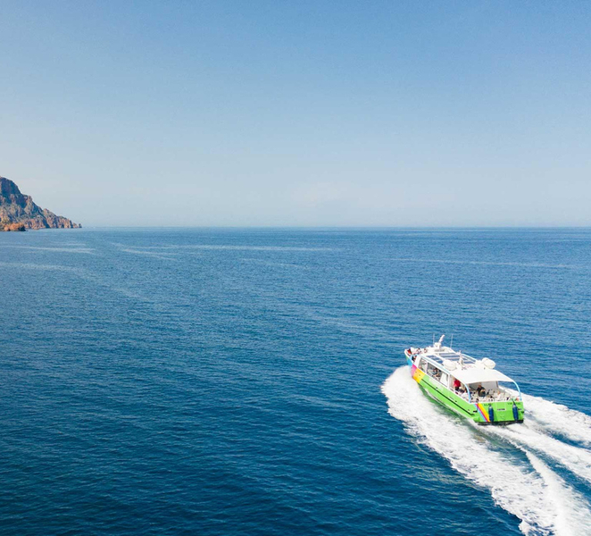 Corsica: Guided Sea Trip From Porto-Ota MFzBSVPE