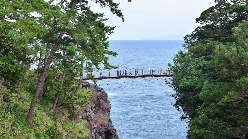 Tokyo & Izu Kawazu Cherry Blossom 1-Day Tour for 9 People | Includes Scenic Train Ride + Optional Hotel Pickup 5PFBoIQA