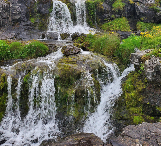 Ísafjörður: Dynjandi Waterfall Private West Fjords Tour EC7TJ7RB