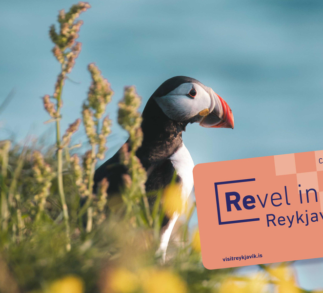 Reykjavík City Card wER2Upcv